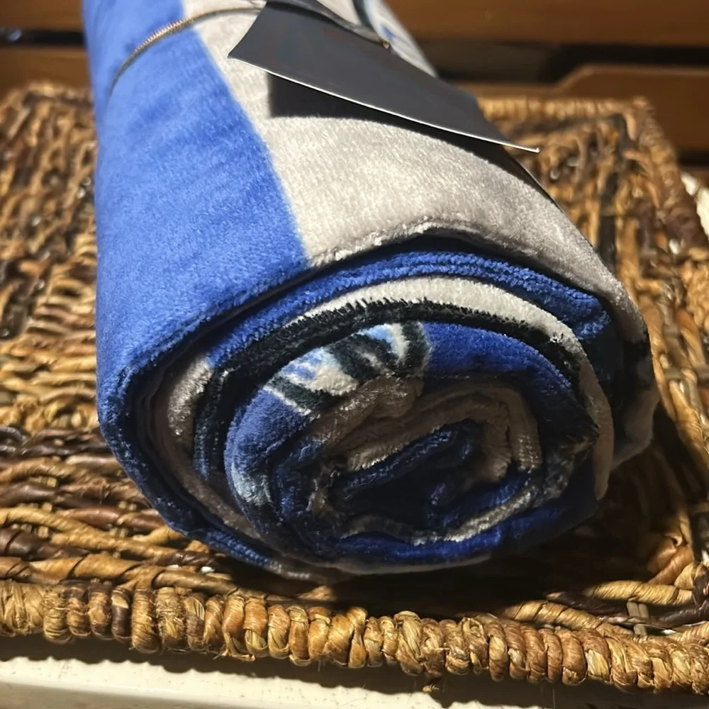 Pottery Barn Teen Harry Potter Ravenclaw Beach 🏖️ Towel BNWT